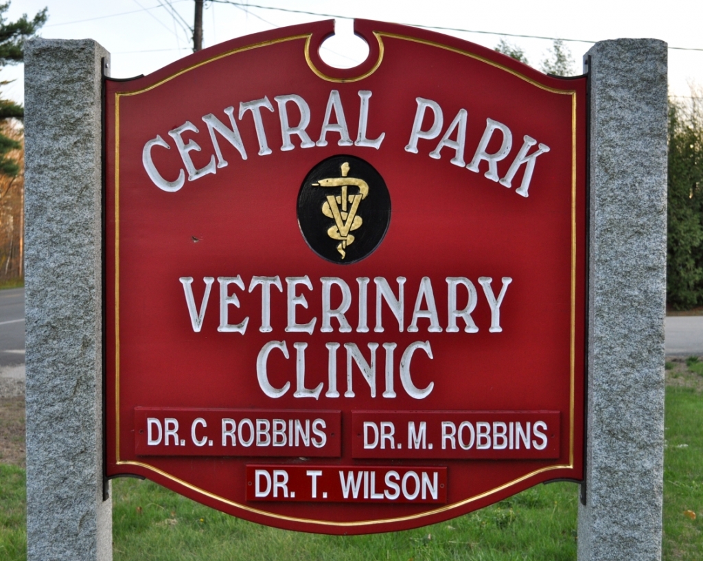 Hospital Tour Central Park Veterinary Clinic Somersworth, NH
