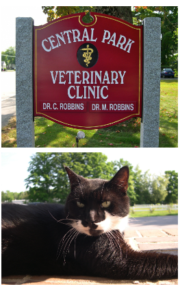 History of CPVC -  Clinic Sign and Cat Image